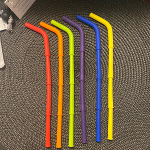 Build-A-Straw Reusable